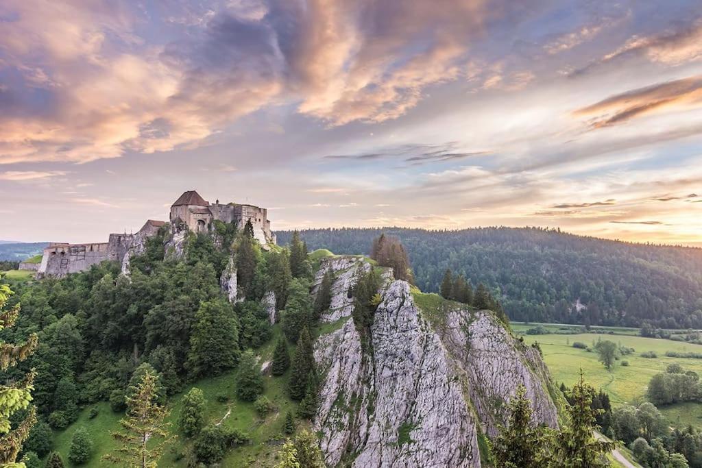 Studio « Le Petit Montagnard » Malbuisson Luaran gambar